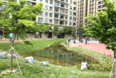 綠光公園