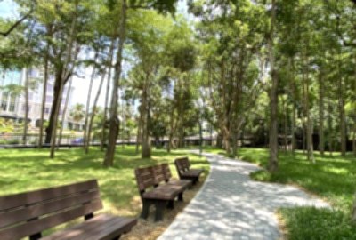 明湖公園