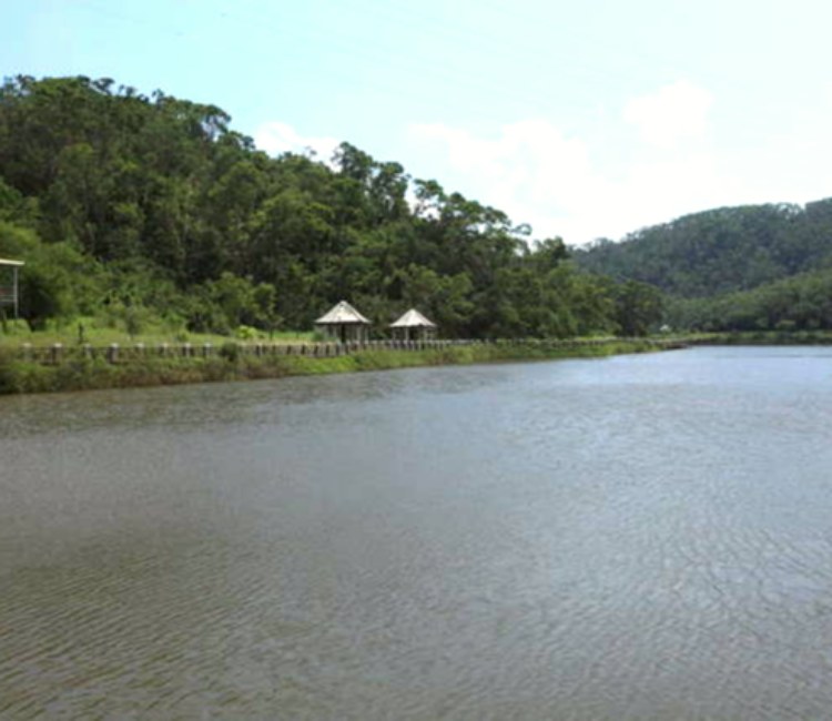 金龍湖