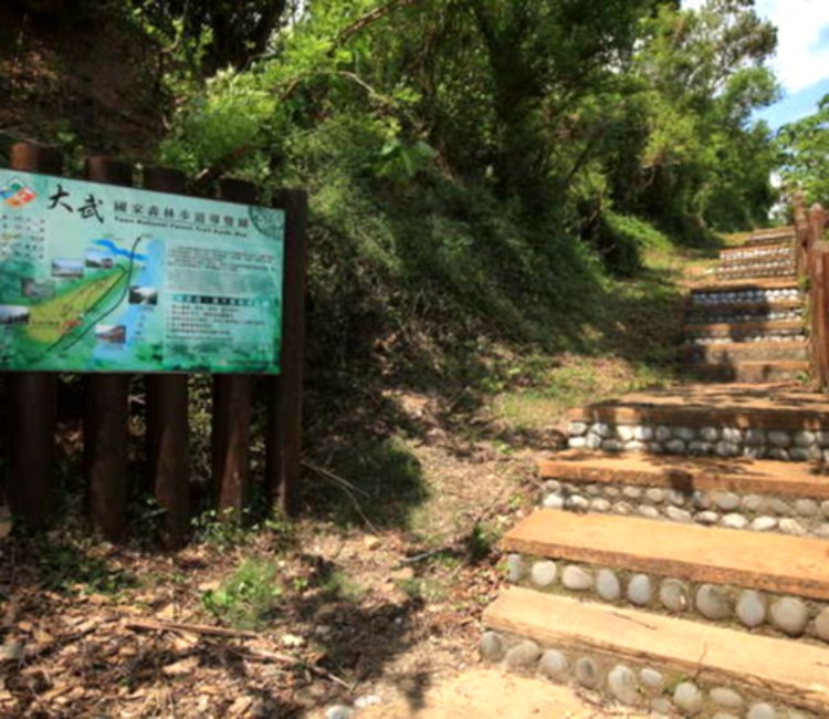 大武國家森林步道
